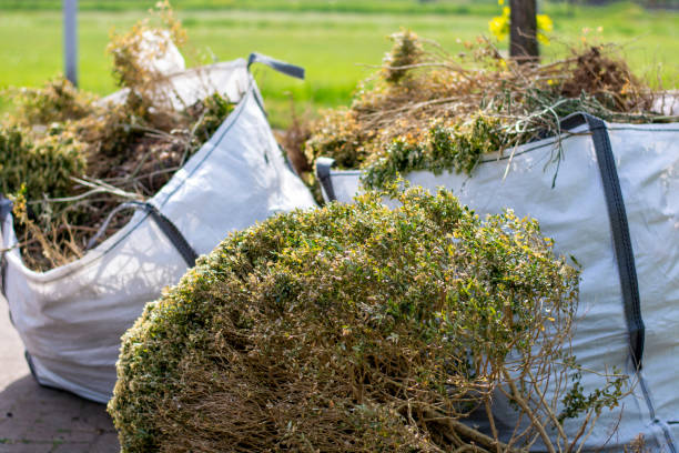 Best Office Junk Removal  in Eddyville, IA